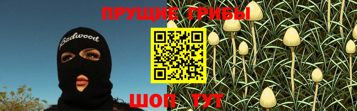 Псилоцибиновые грибы GOLDEN TEACHER  Вход с VPN  Ярославль  Галлюциногенные грибы Psilocybine cubensis 